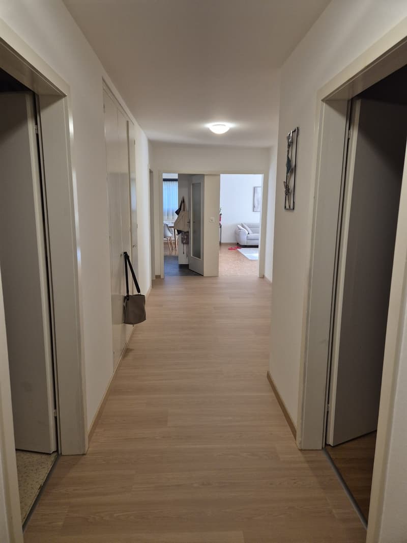 3 ½ Zimmer-Wohnung, 8620 Wetzikon (5)