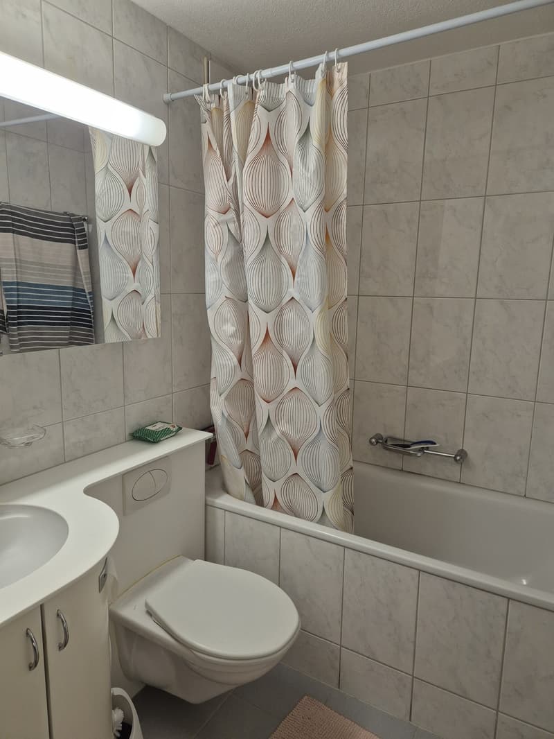 3 ½ Zimmer-Wohnung, 8620 Wetzikon (6)