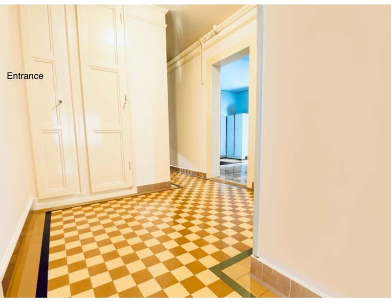 Charming 3 Room Apartment in Morges ,available in November (5)