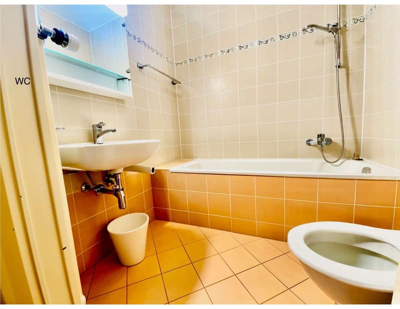 Charming 3 Room Apartment in Morges ,available in November (6)