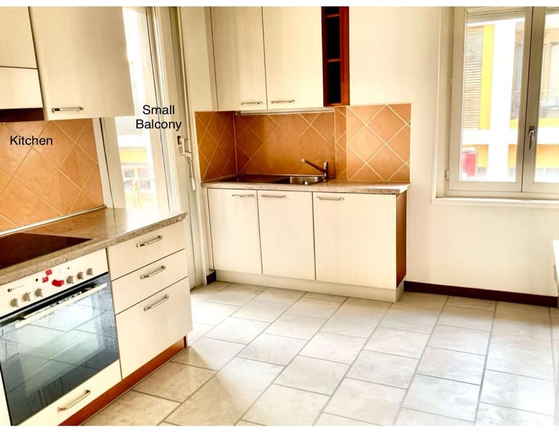 Charming 3 Room Apartment in Morges ,available in November (9)