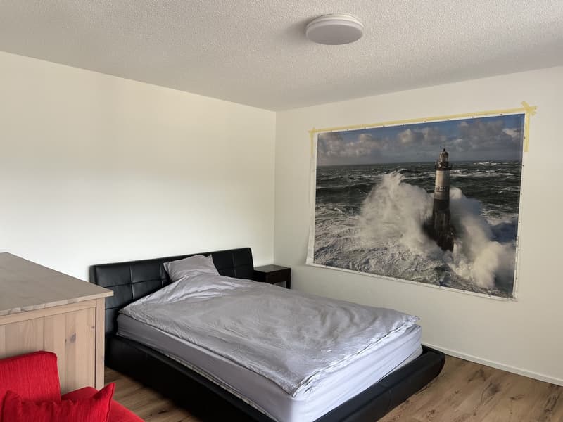 Sofort Nachmieter gesucht - Helles 1.5-Zimmer Studio Visp (5)