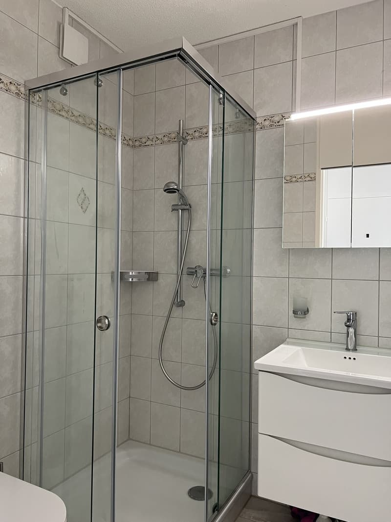 Sofort Nachmieter gesucht - Helles 1.5-Zimmer Studio Visp (7)