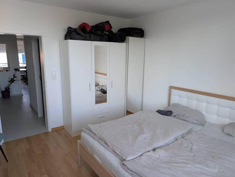 Traumhafte, kürzlich sanierte 3-Zimmer-Wohnung nahe Voltaplatz mit Balkon (6)
