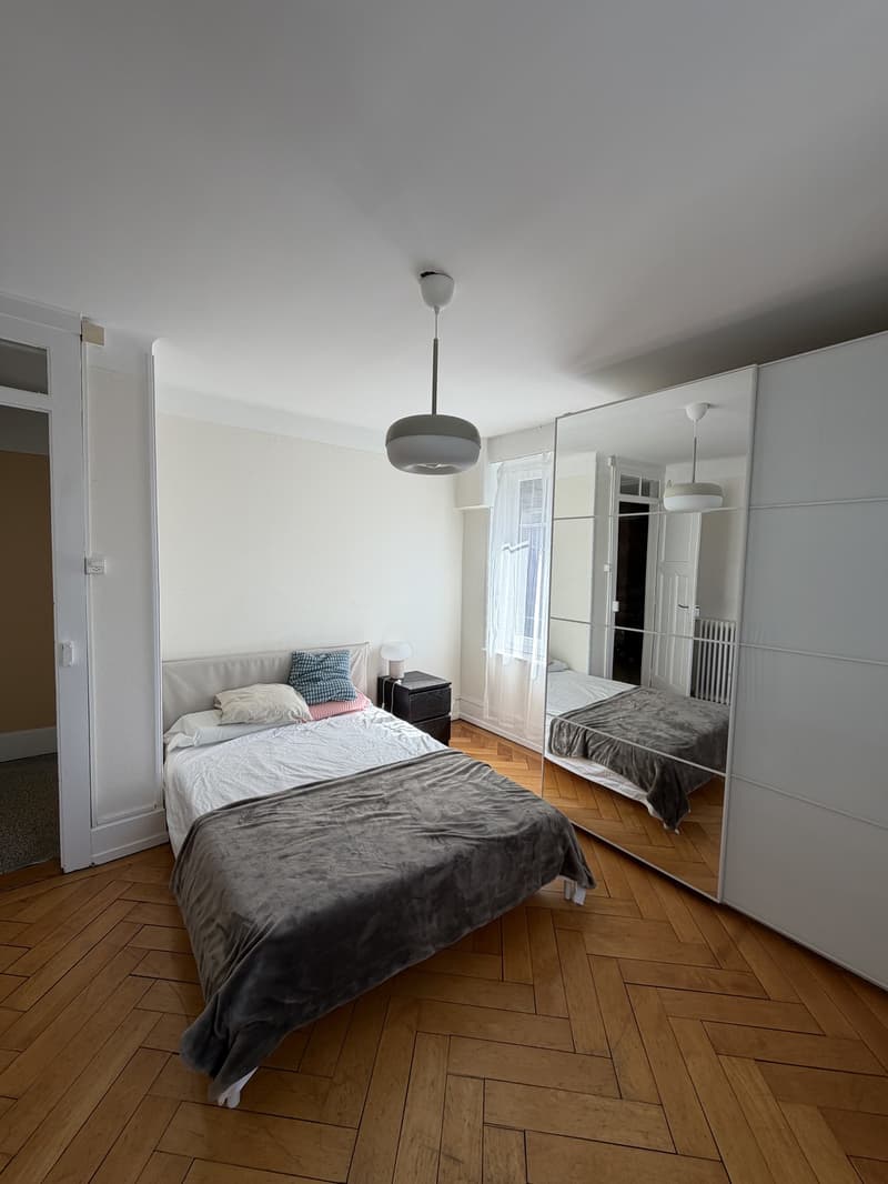 Room in shared flat, Montelly (1)