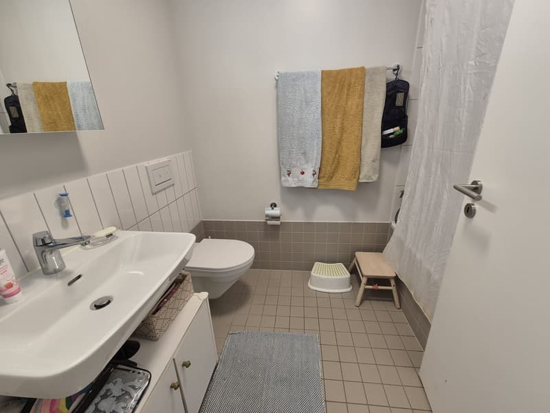 4.5 pièces 110m2 proche Gare, quartier vivant avec services (7)