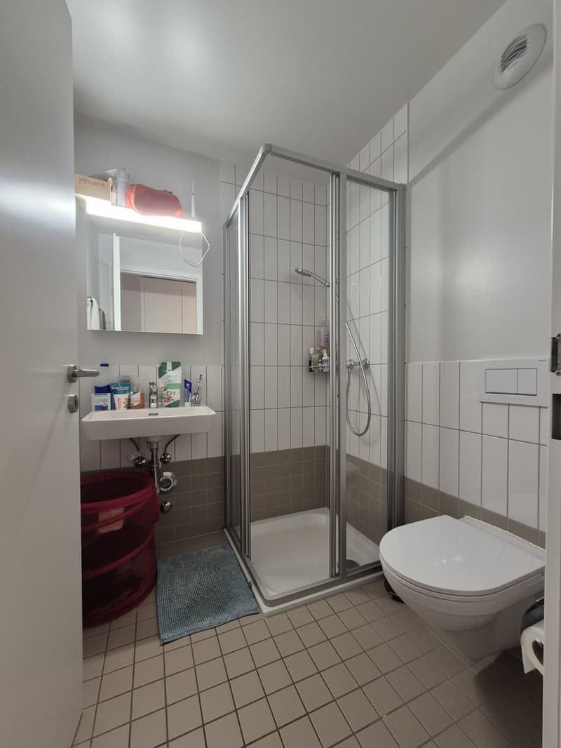 4.5 pièces 110m2 proche Gare, quartier vivant avec services (8)