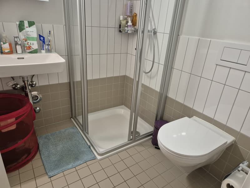 4.5 pièces 110m2 proche Gare, quartier vivant avec services (9)