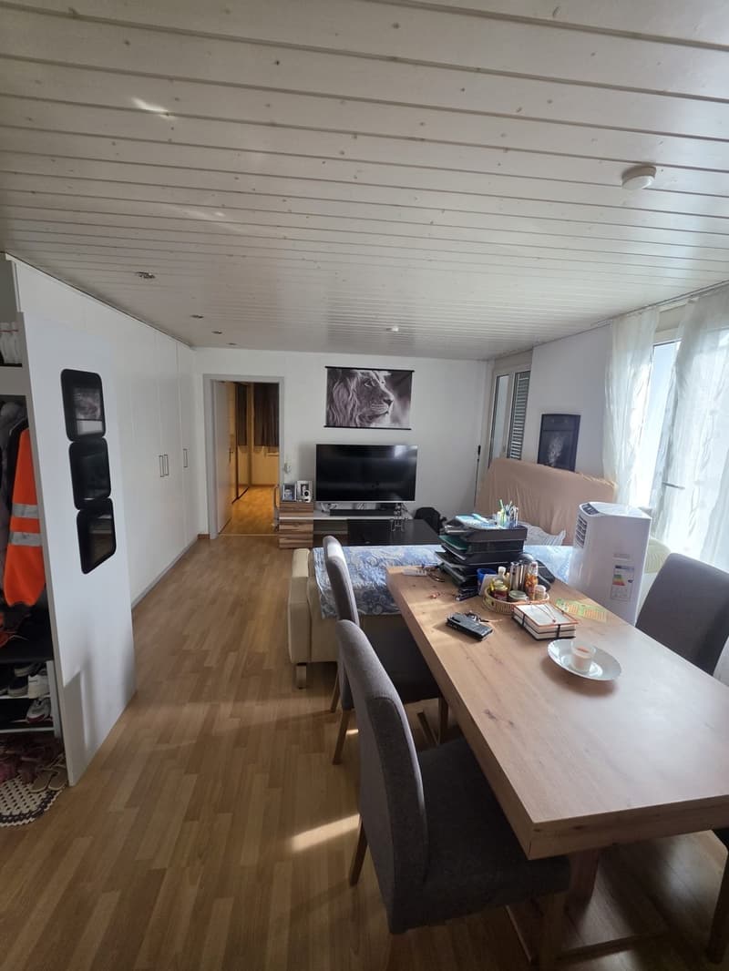 WG 2 Zimmer in Luzern - Schachen (11)