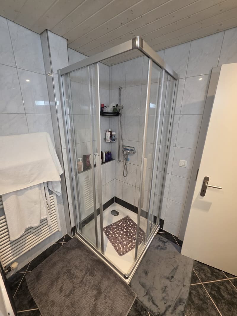 WG 2 Zimmer in Luzern - Schachen (7)