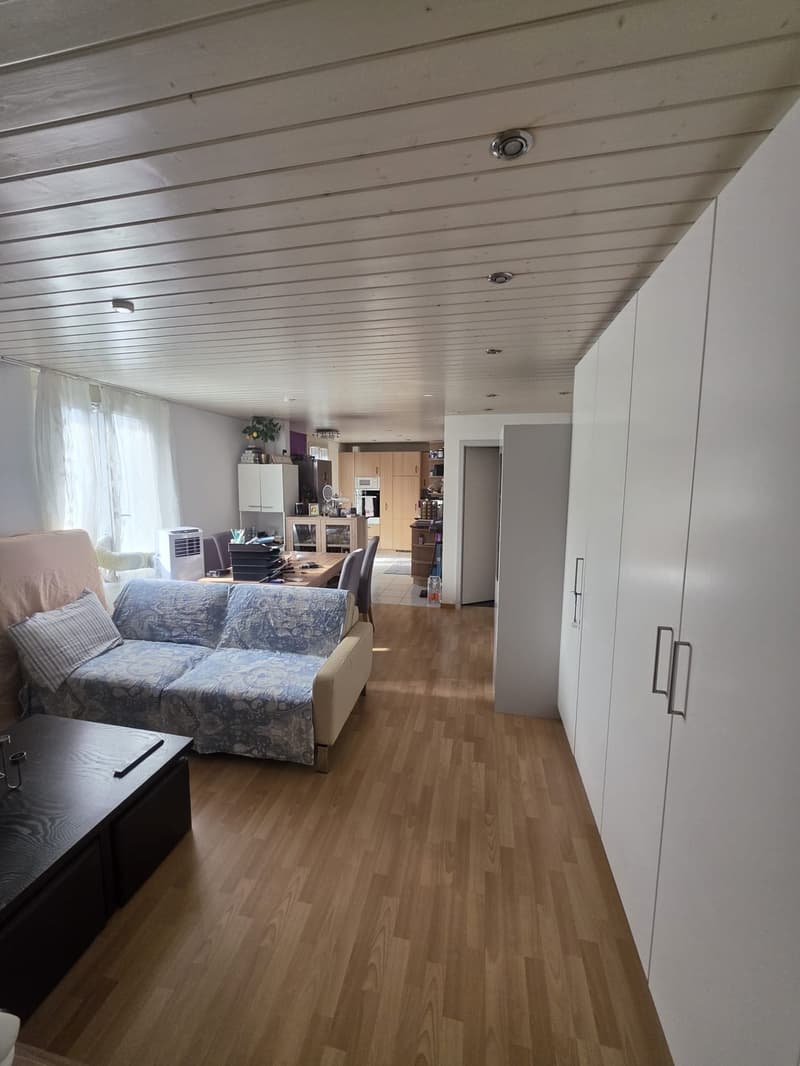 WG 2 Zimmer in Luzern - Schachen (13)