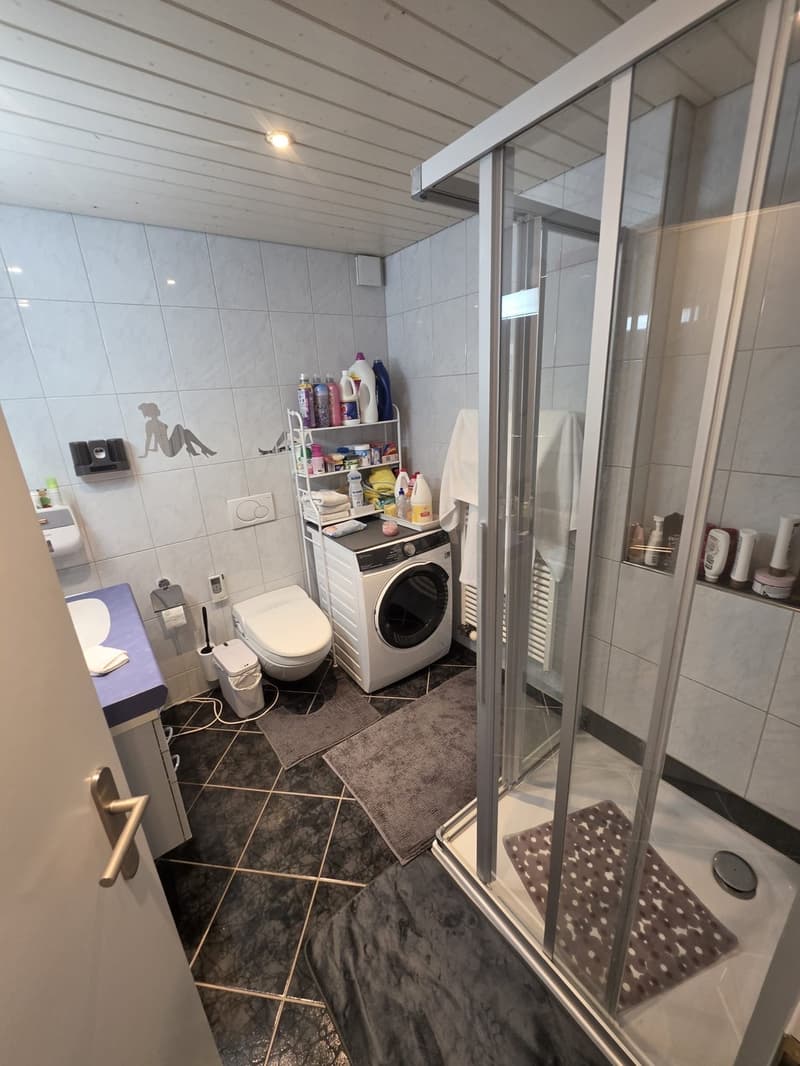 WG 2 Zimmer in Luzern - Schachen (9)