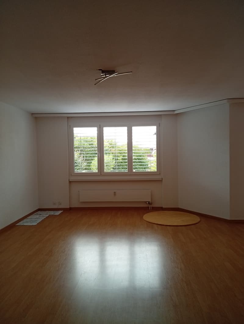 Gelegenheit (11)