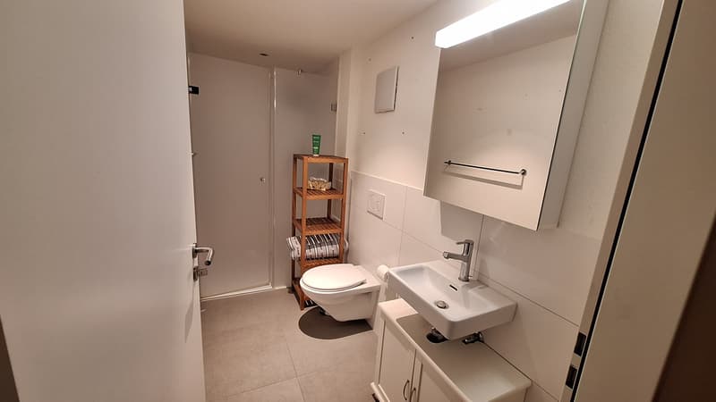 Helle 4.5-Zimmer-Wohnung zentral gelegen (5)