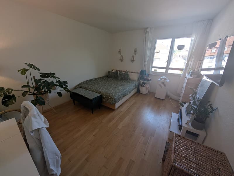 Helle 4.5-Zimmer-Wohnung zentral gelegen (3)