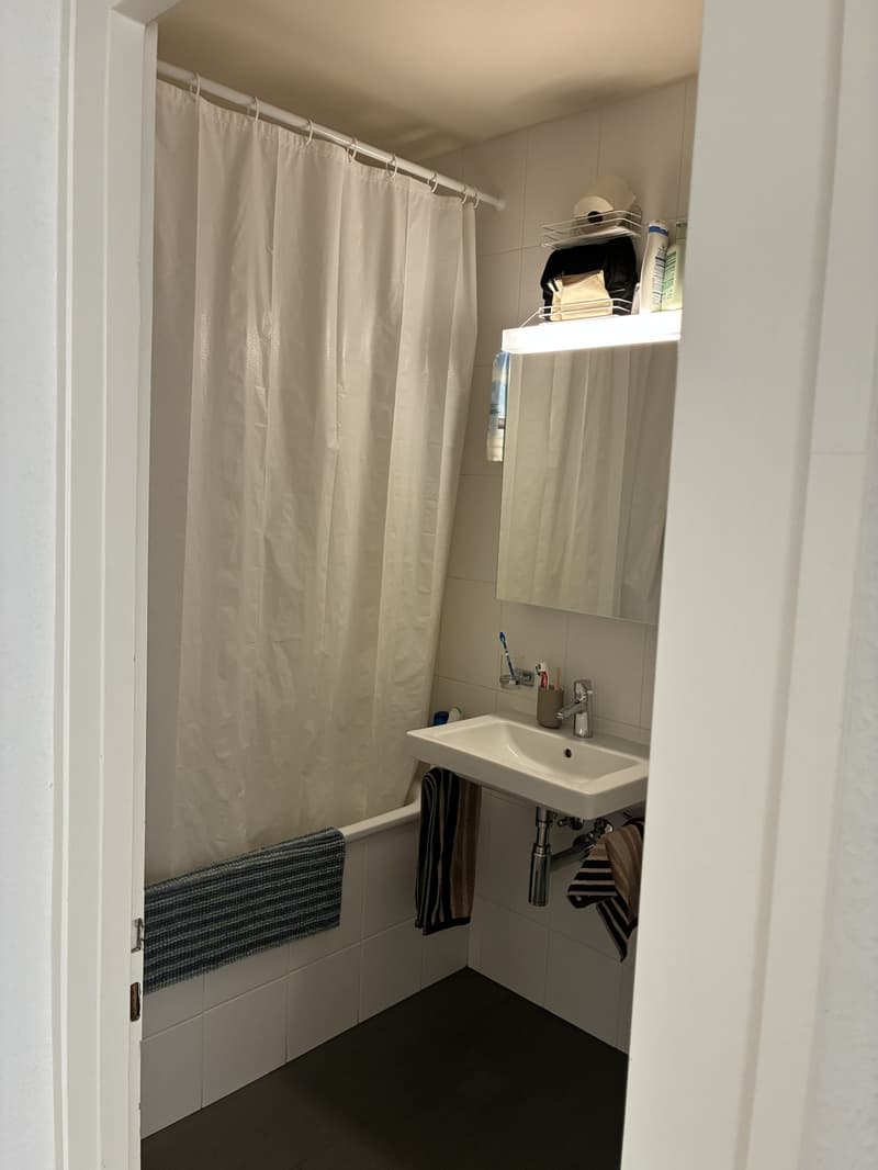 Bright flat to rent (8)