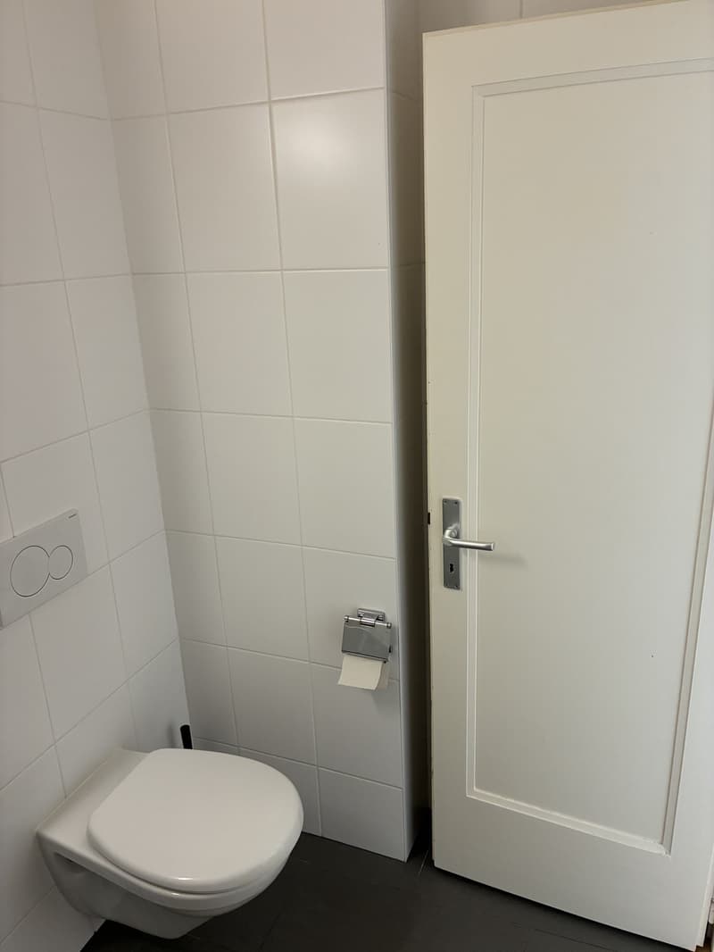 Bright flat to rent (9)