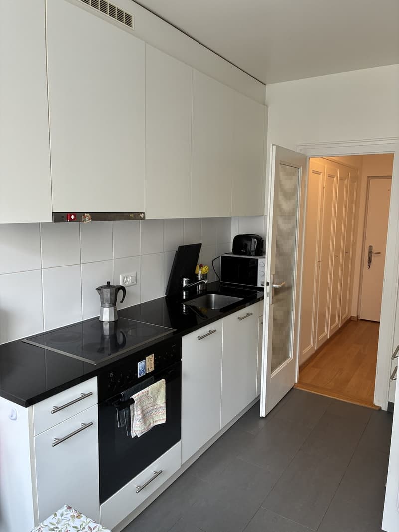 Bright flat to rent (5)