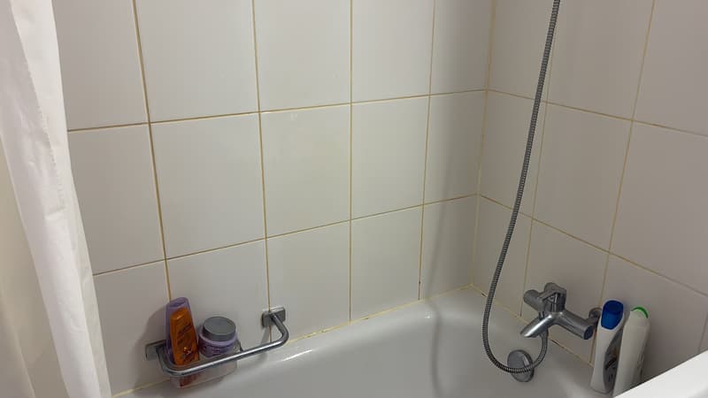 Bright flat to rent (10)
