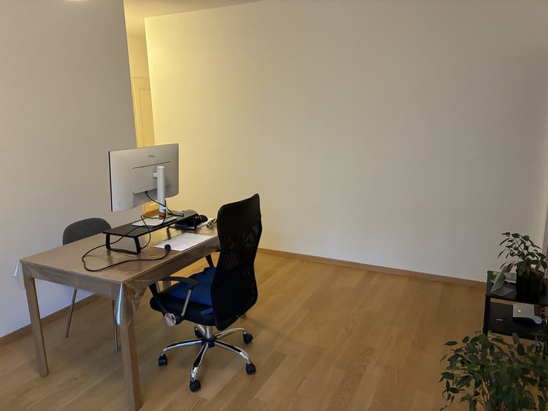 Bright flat to rent (2)