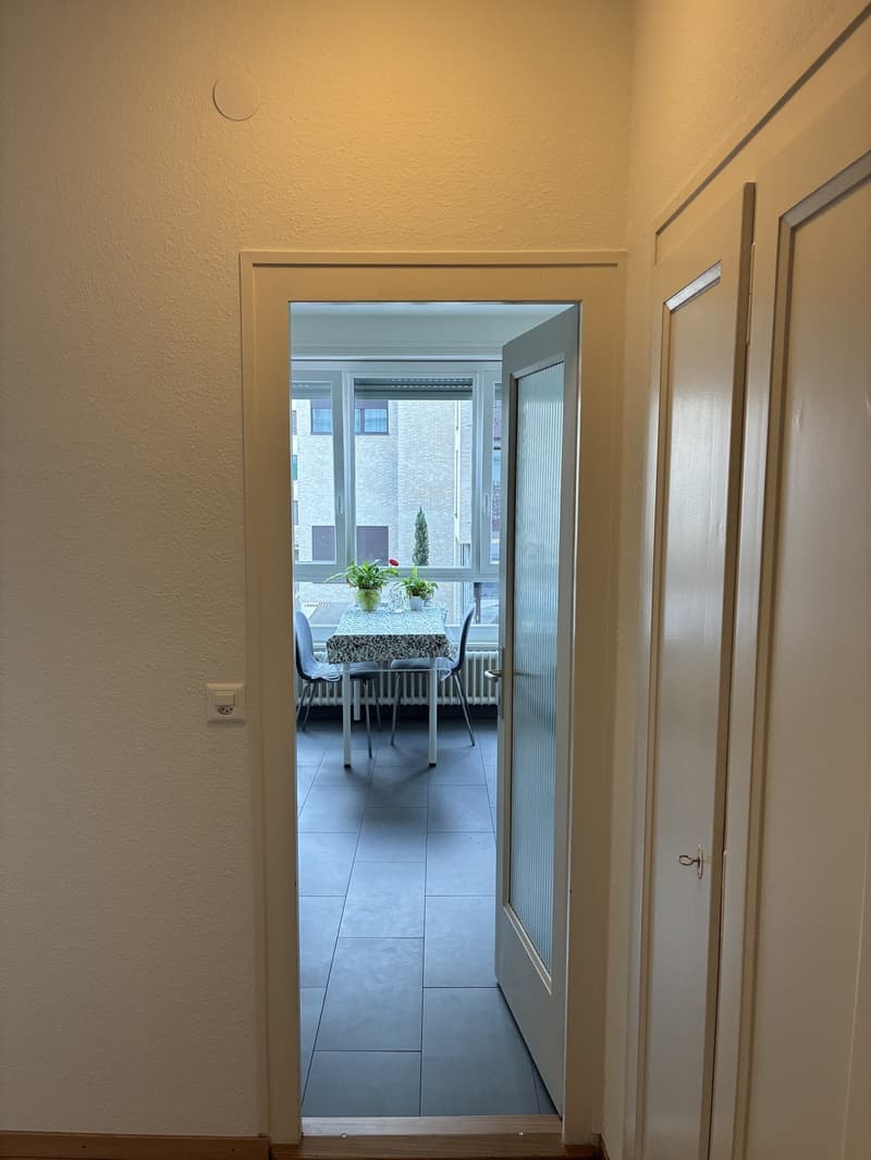 Bright flat to rent (3)
