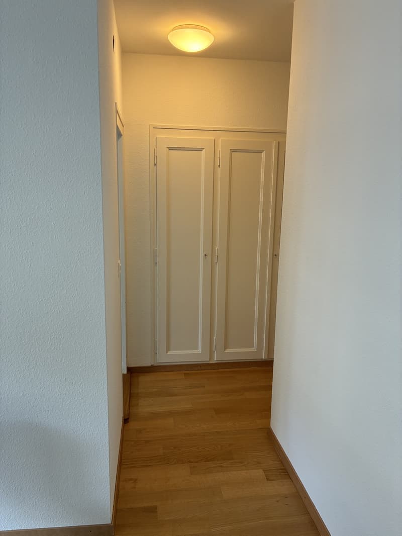 Bright flat to rent (4)