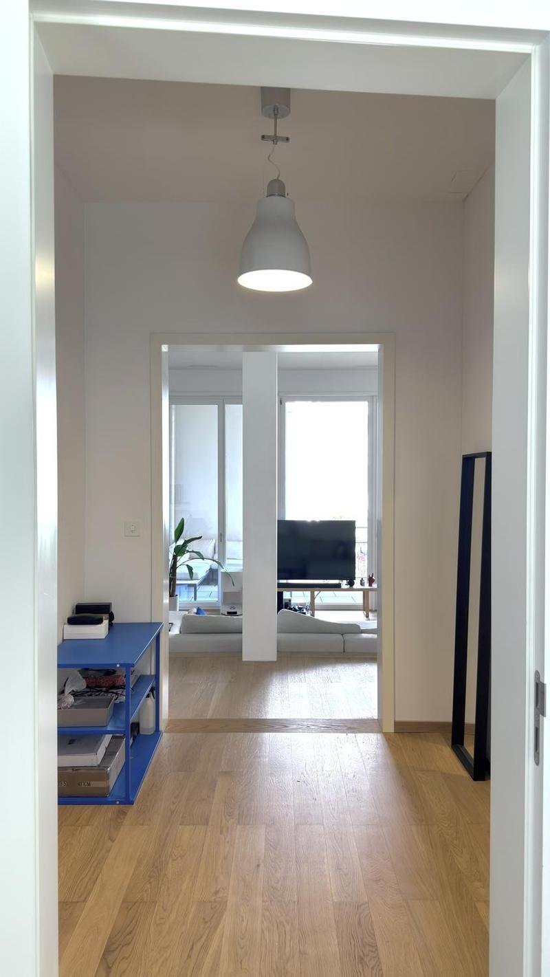 2.5 rooms Apartment (12)