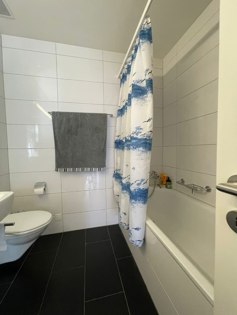 Helles, möbliertes WG-Zimmer mit Seeblick in Thalwil nur 5 Min. zum Bahnhof & See! (3)