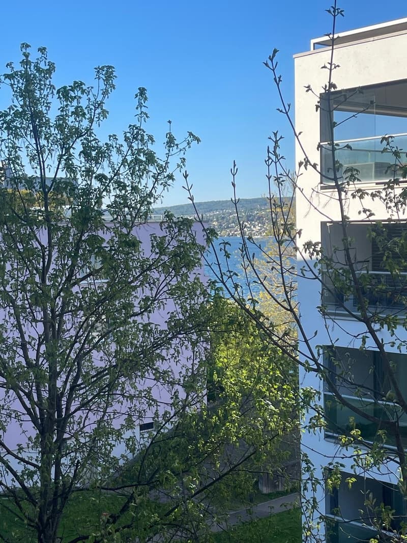 Helles, möbliertes WG-Zimmer mit Seeblick in Thalwil nur 5 Min. zum Bahnhof & See! (9)