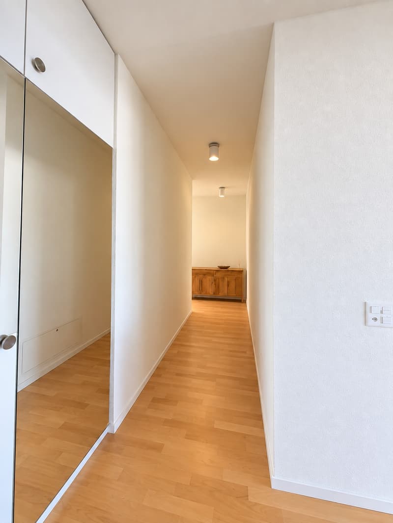 Lake-view Apartment in Zug 7 min from Station (8)