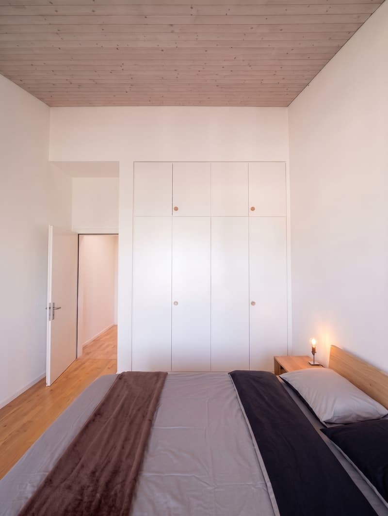 Lake-view Apartment in Zug 7 min from Station (9)