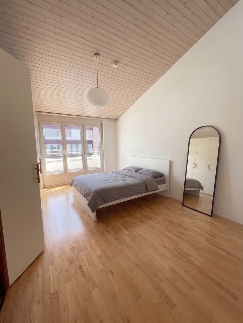Lake-view Apartment in Zug 7 min from Station (10)