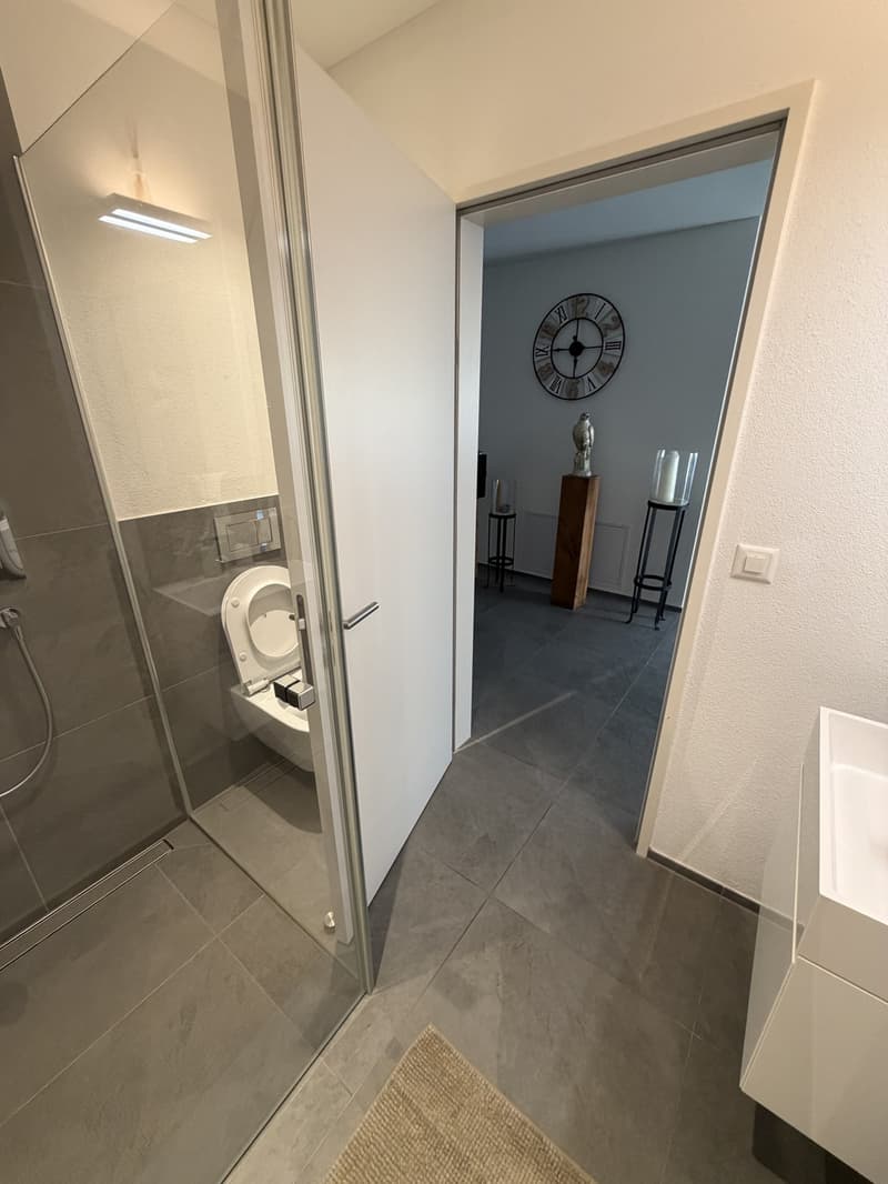 Exklusive 4.5-Zimmer-Wohnung im Eigentumsstandard mit grosser Terrasse (8)