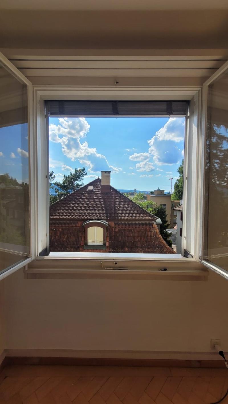 Helles 20m² WG-Zimmer in Hottingen (5)