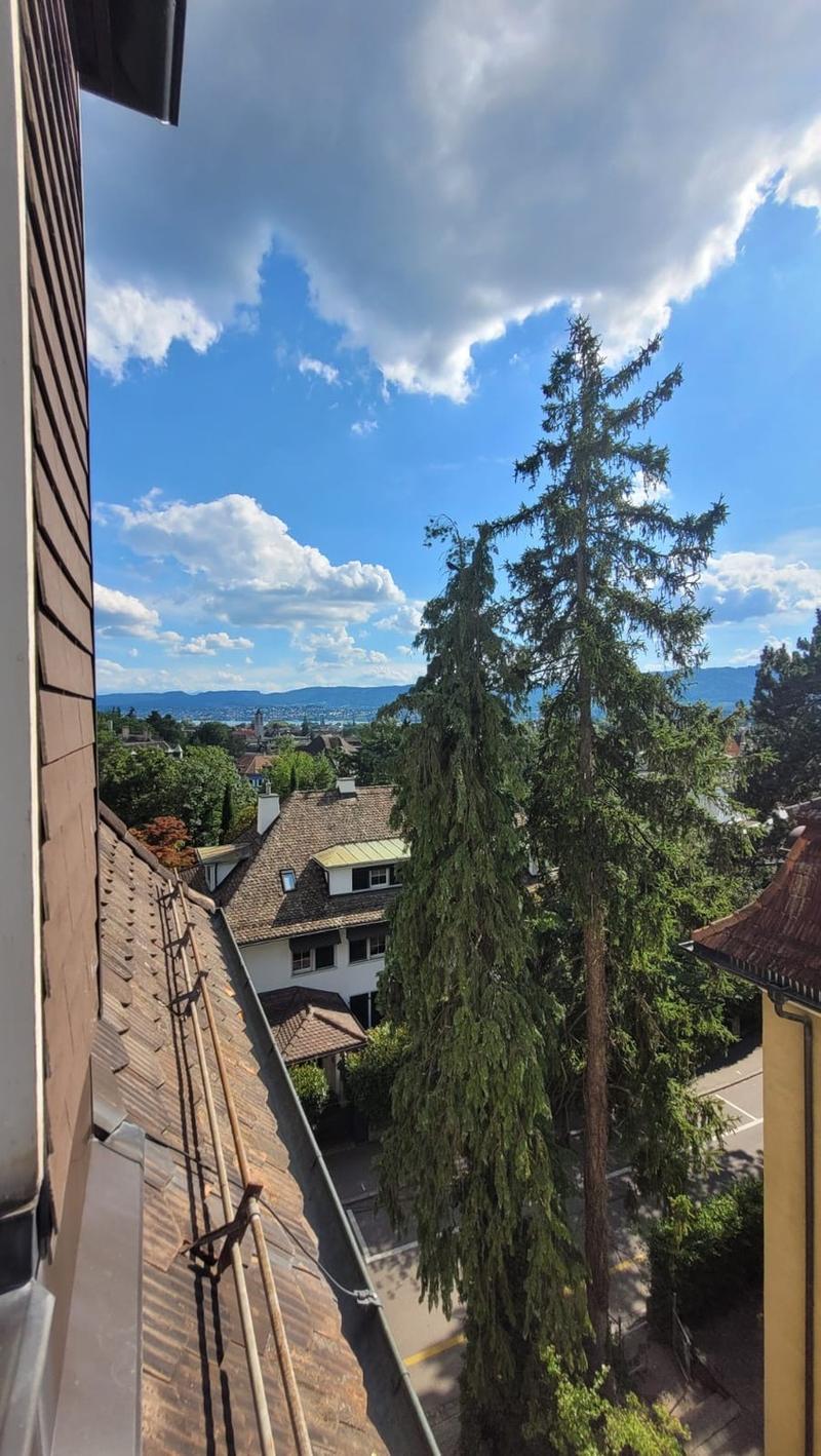 Helles 20m² WG-Zimmer in Hottingen (7)