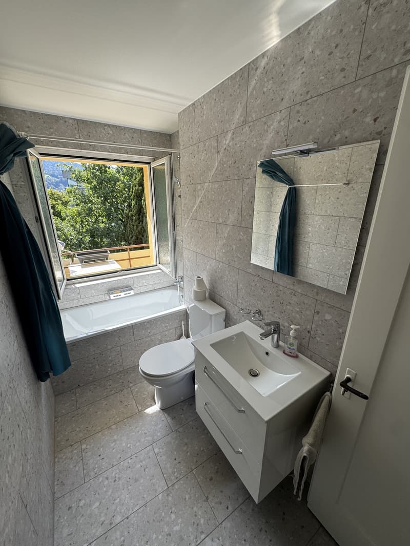 Moderne 1 Zimmerwohnung Nachmieter/in gesucht nähe Naturschutzgebiet (8)