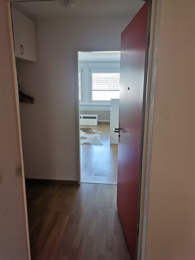 Gemütliche 1 Zimmer Wohnung in Wettingen zu vermieten (2)