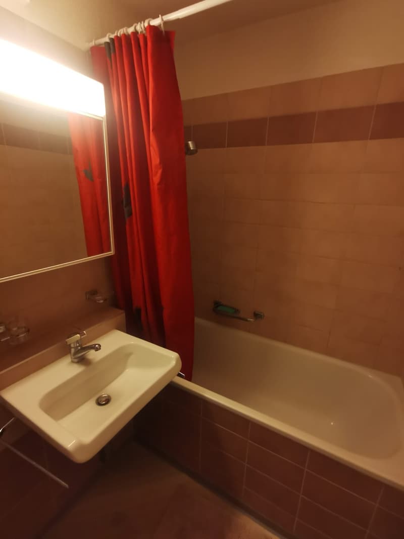 Gemütliche 1 Zimmer Wohnung in Wettingen zu vermieten (3)