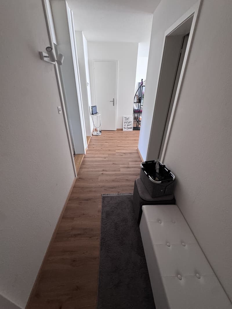 3-Zimmer-Wohnung in Kappel (SO) (2)