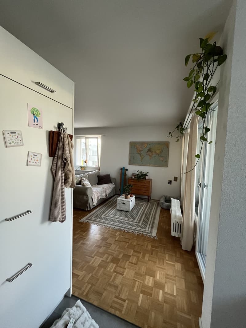 1.5 Zimmer Wohnung in Thun zu vermieten (4)