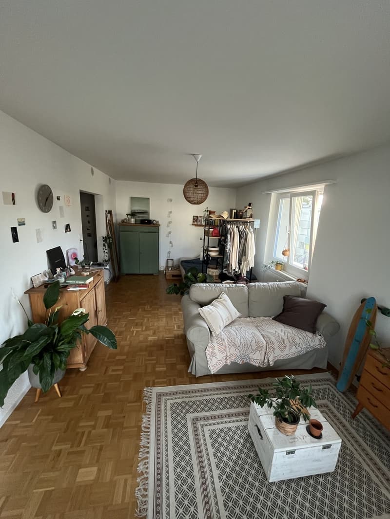 1.5 Zimmer Wohnung in Thun zu vermieten (1)