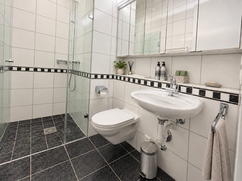 Zentrale, moderne, ruhige 3 1/2 Zi-Wg (7)