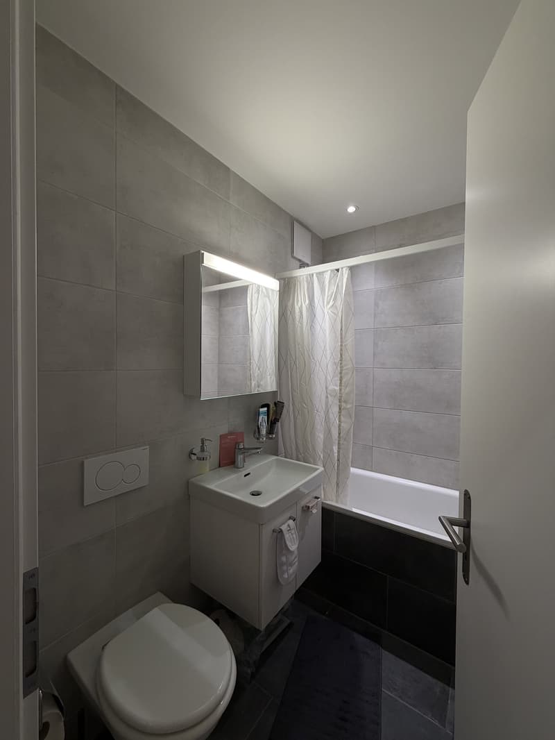 1 bedroom flat to rent TEMPORARY with balcony (3)