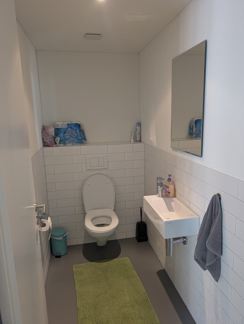 Furnished Room in a Modern, Friendly Flat with Young Professionals (11)