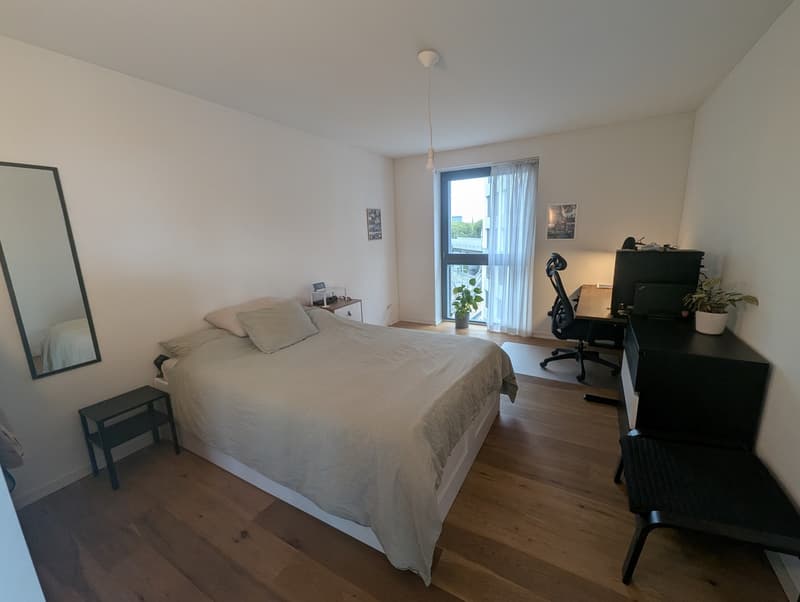Furnished Room in a Modern, Friendly Flat with Young Professionals (4)