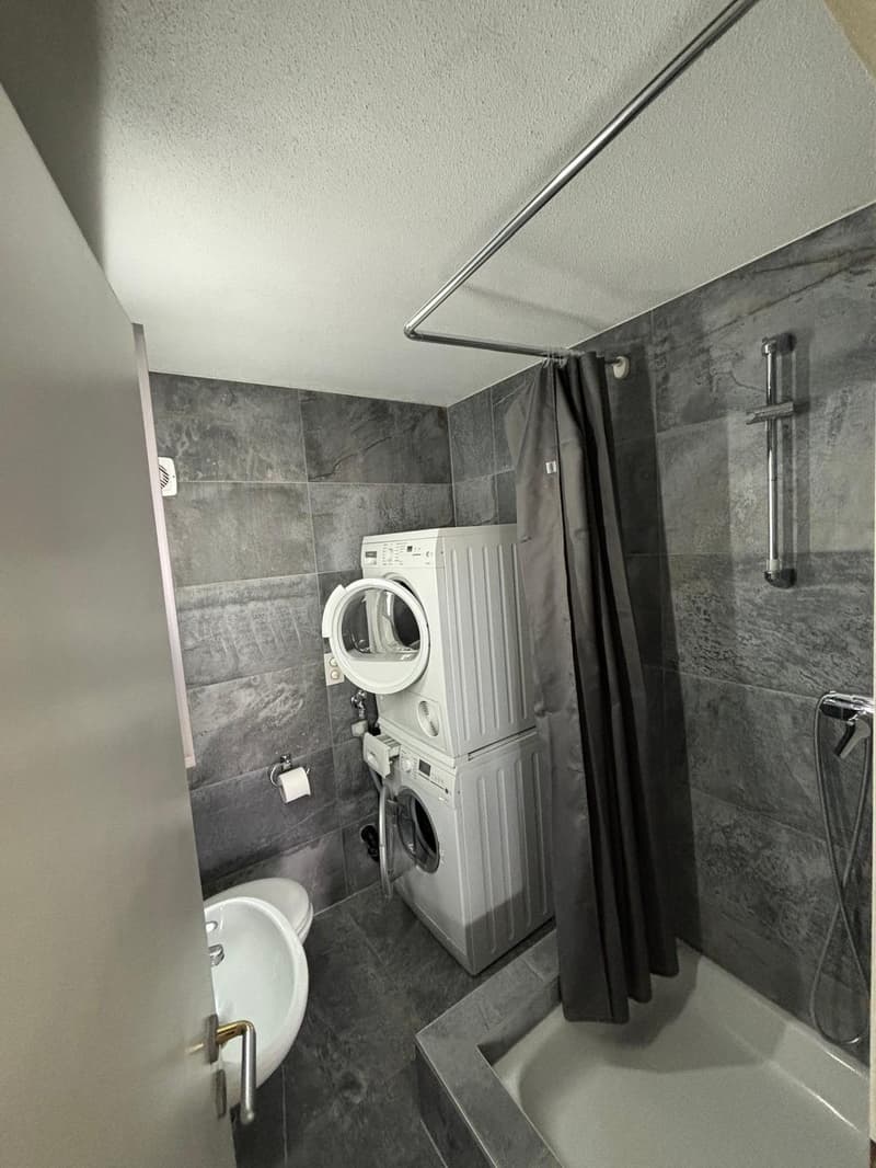 1 Zimmer-Wohnung, 4332 Stein (6)
