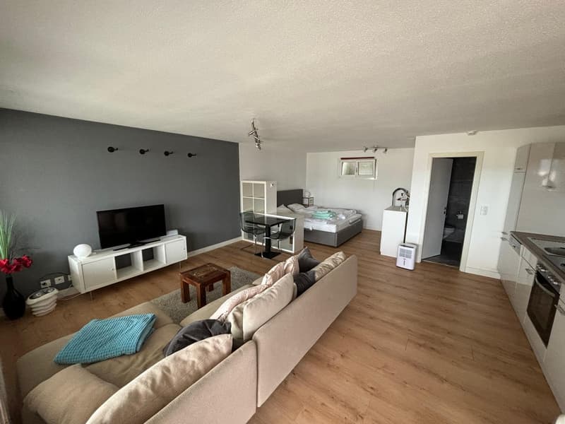 1 Zimmer-Wohnung, 4332 Stein (2)
