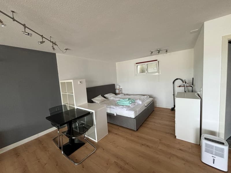 1 Zimmer-Wohnung, 4332 Stein (4)