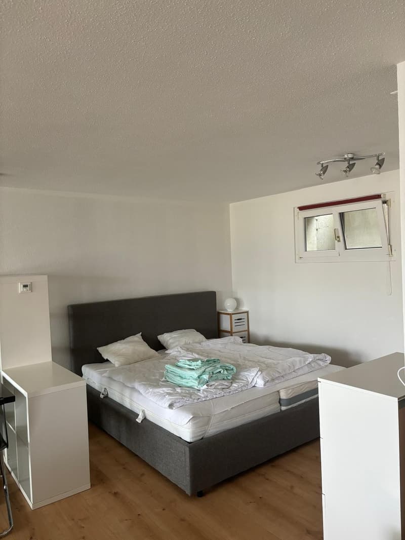 1 Zimmer-Wohnung, 4332 Stein (1)