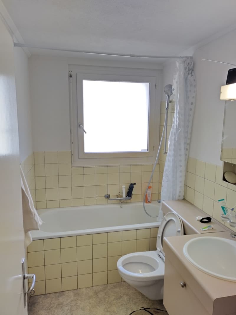 Nachmieter für 3.5-Zimmer-Dachwohnung (3)